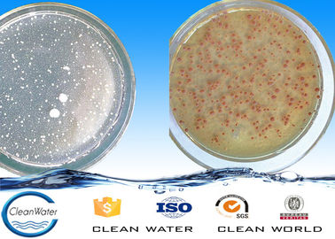 ISO bacteriano da BV do pH 5.5~9.5 dos agentes da degradação do bacalhau do pó para o tratamento de águas residuais